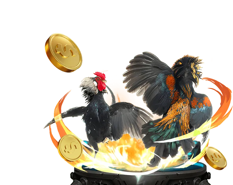 Tổng quan đá gà trực tuyến U888