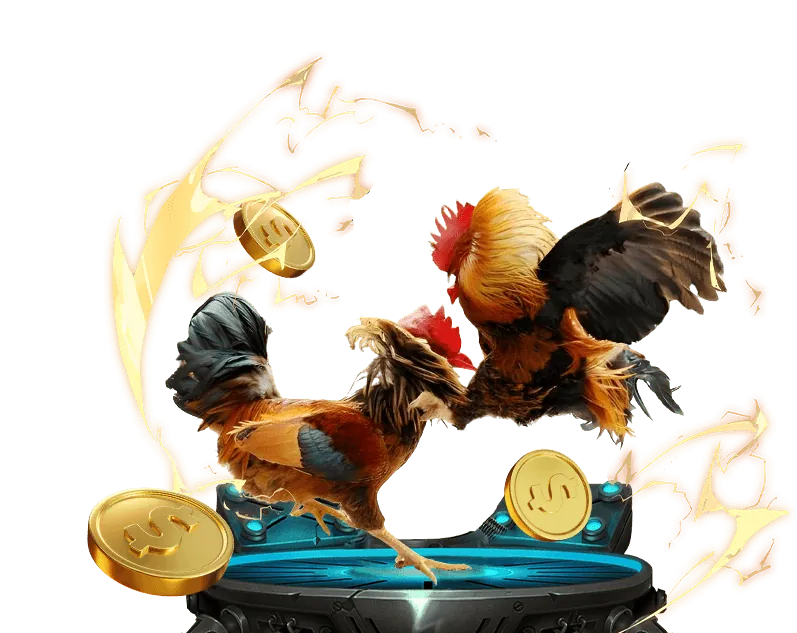 Ưu đãi và khuyến mãi đá gà U888